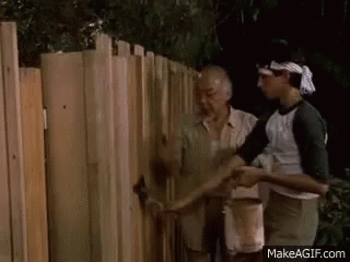 The Karate Kid - paint the fence